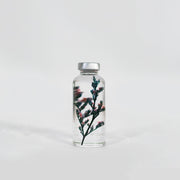 Plante en bouteille 30ml | Limonium tetragonum - Slow Pharmacy