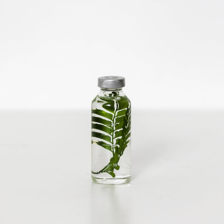 Plante en bouteille 30ml | Rumohra Adiantiformis