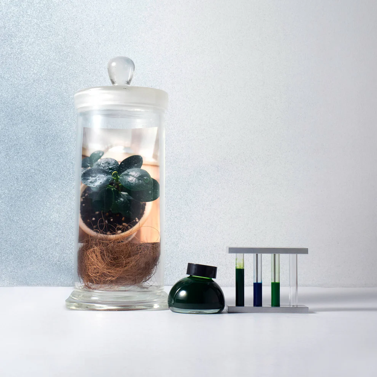 Limited Edition - Life