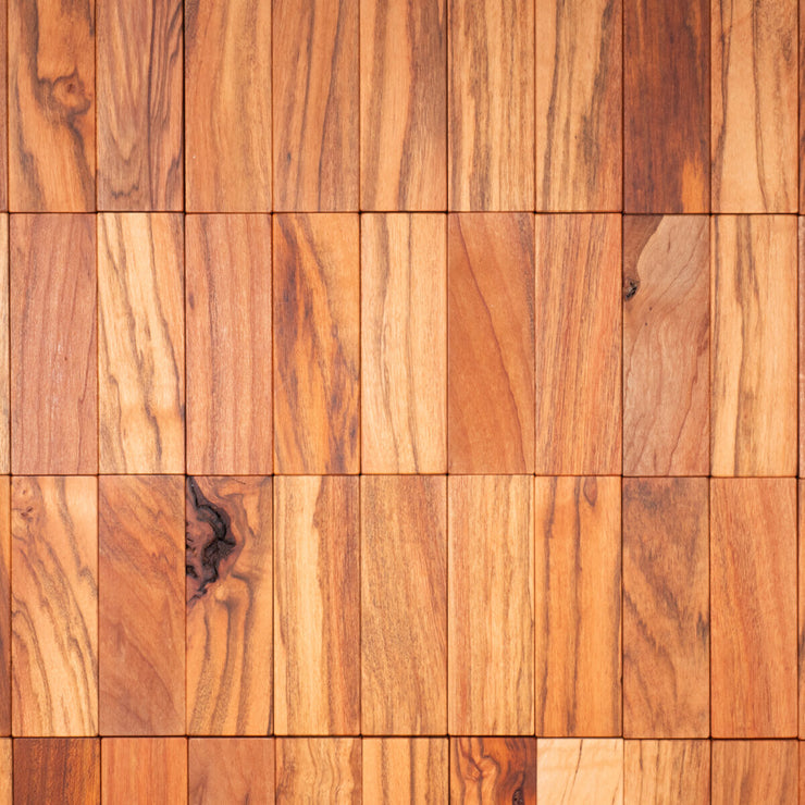 Building 101 - Est. 2025