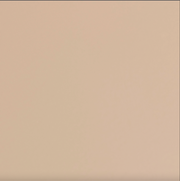 TOYO STEEL T 190 BEIGE