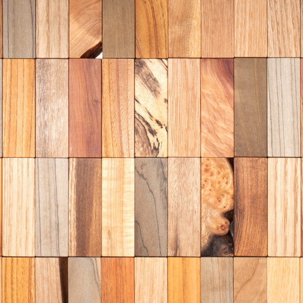 Building 101 - Est. 2025