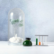 Colour specimen 203 - Beneath the snow