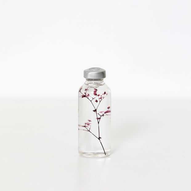 Plante en bouteille 30ml | Gypsophila elegans rouge - Slow Pharmacy