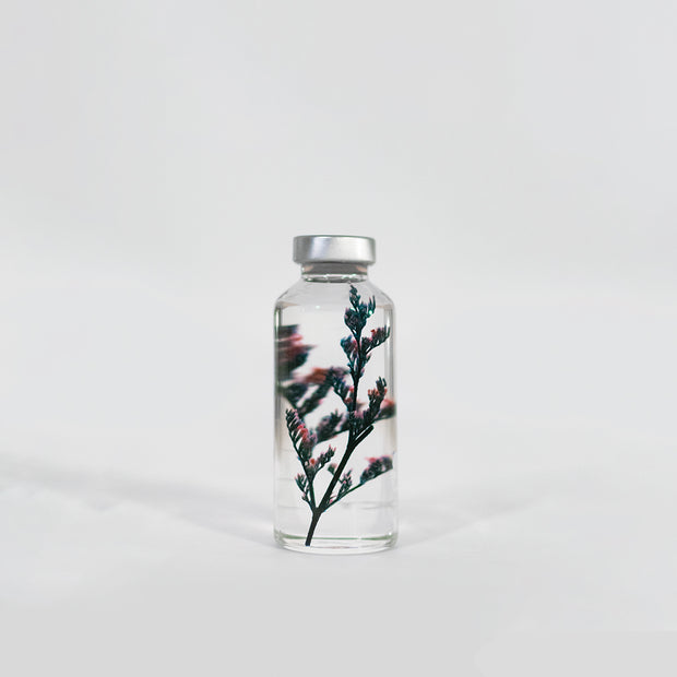 Plante en bouteille 30ml | Limonium tetragonum - Slow Pharmacy
