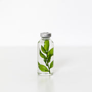 Plante en bouteille 30ml | Ruscus aculeatus - Slow Pharmacy