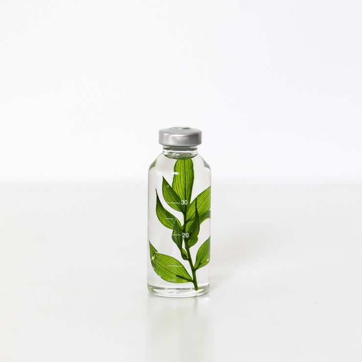 Plante en bouteille 30ml | Ruscus aculeatus - Slow Pharmacy