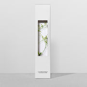 Plante en bouteille 200ml | Gypsophila elegans verte