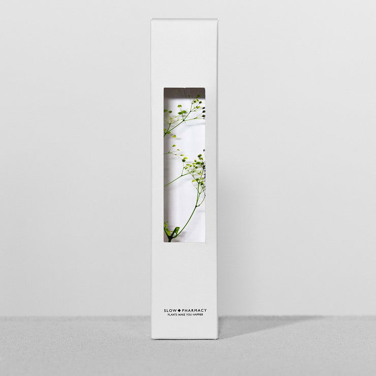 Plante en bouteille 200ml | Gypsophila elegans verte