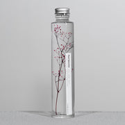 Plante en bouteille 200ml | Gypsophila elegans rouge - Slow Pharmacy