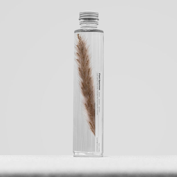 Plante en bouteille 200ml | Pennisetum