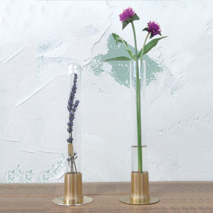 HERBARIUM BRASS GLASS DOME & FLOWER VASE RUST