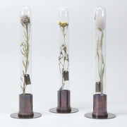 HERBARIUM BRASS GLASS DOME & FLOWER VASE RUST