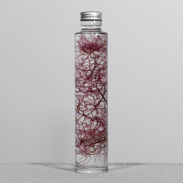 Plante en bouteille 200ml | Cotinus coggygria rouge