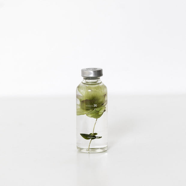 Plante en bouteille 30ml | Hydrangea macrophylla