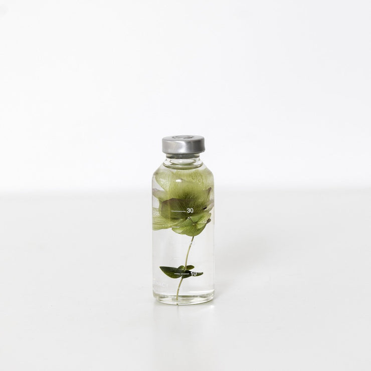 Plante en bouteille 30ml | Hydrangea macrophylla