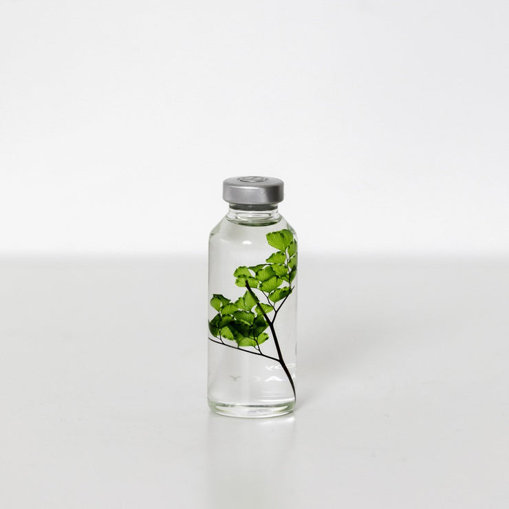 Plante en bouteille 30ml | Adiantum tenerum