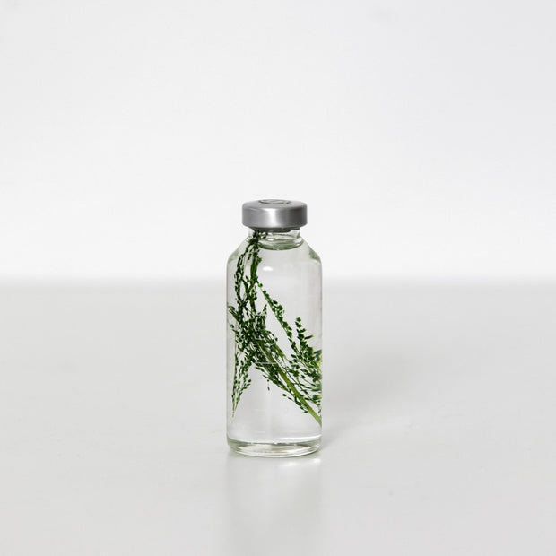 Bottle Plant 30ml | Peacock grass