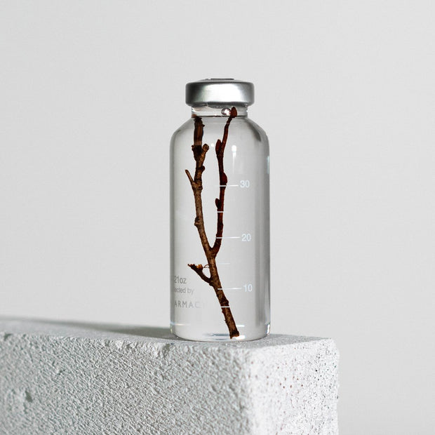 Bottle Plant 30ml | Zelkova serrata