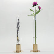 HERBARIUM BRASS GLASS DOME & FLOWER VASE SOLID