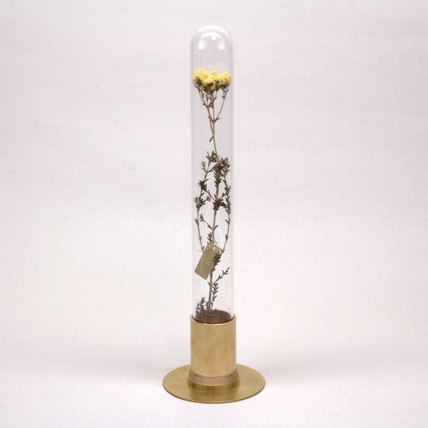 HERBARIUM BRASS GLASS DOME & FLOWER VASE SOLID