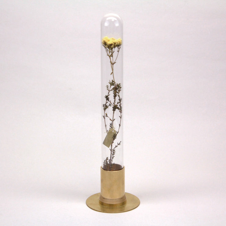 HERBARIUM BRASS GLASS DOME & FLOWER VASE SOLID