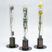 HERBARIUM BRASS GLASS DOME & FLOWER VASE RUST