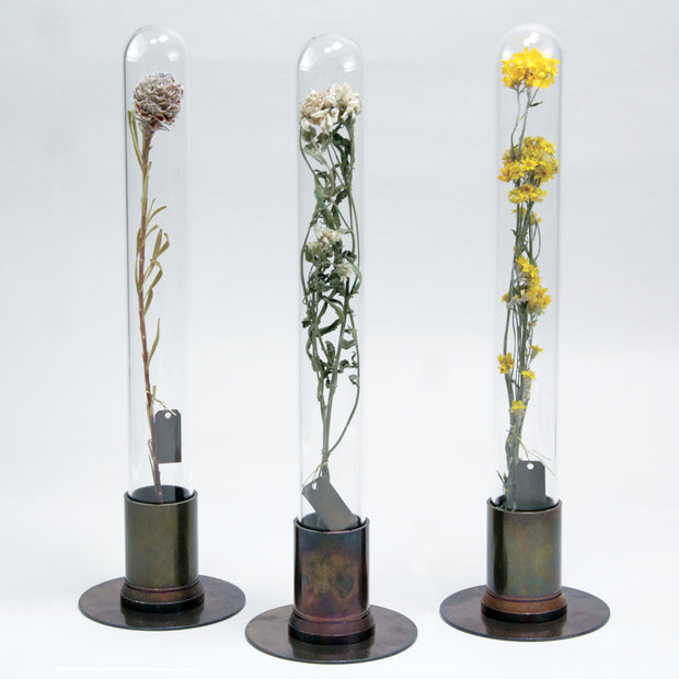 HERBARIUM BRASS GLASS DOME & FLOWER VASE RUST