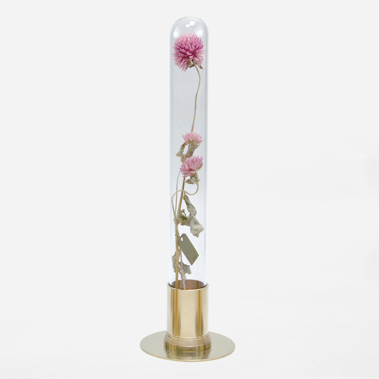 HERBARIUM BRASS GLASS DOME & FLOWER VASE SOLID